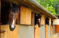 free Bryn Common stable construction quotes